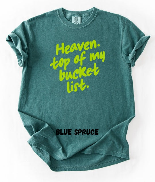 JESUS LOVE (ADULT) *PRE-ORDER* Heaven Bucket List (green font)