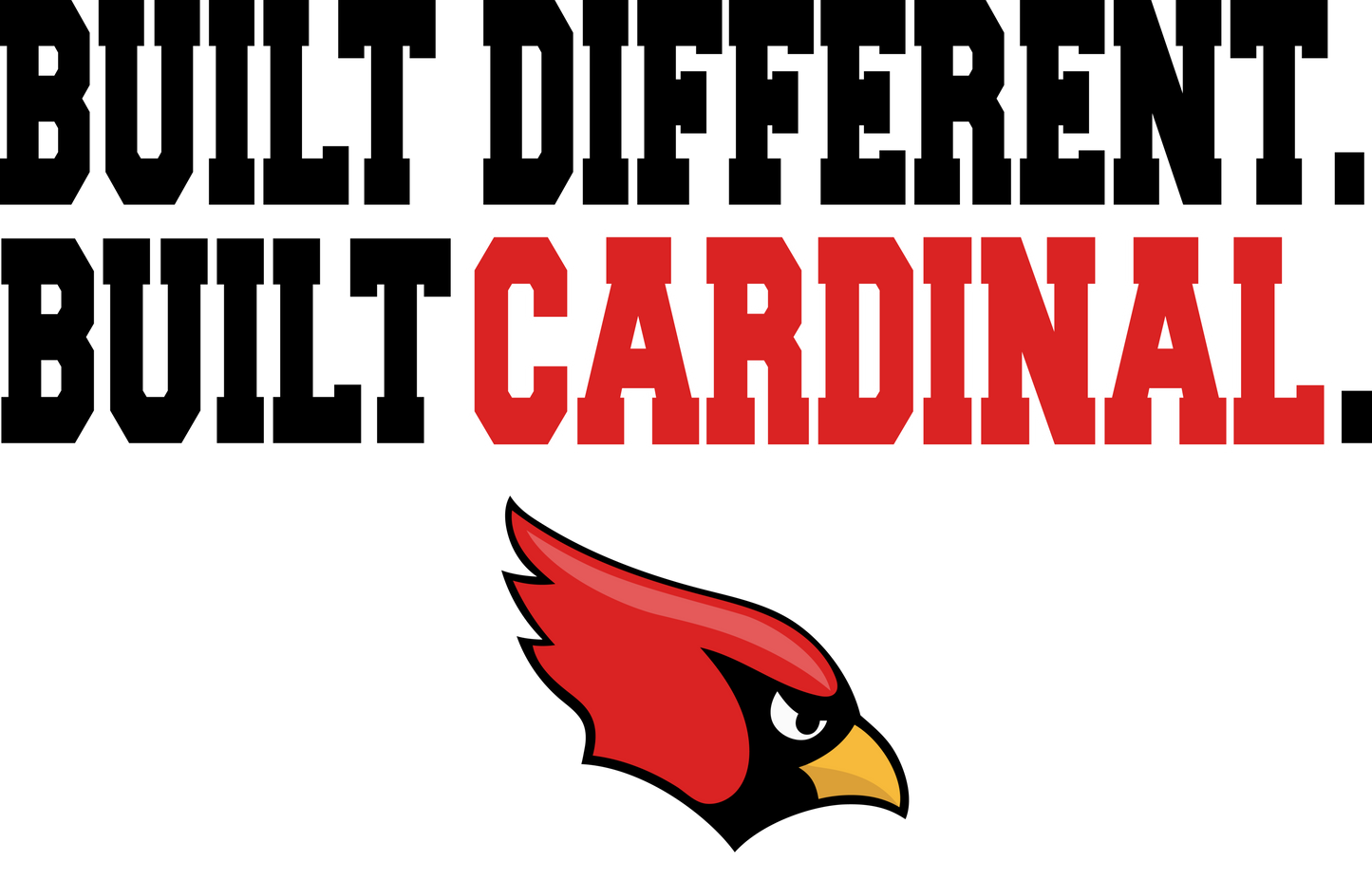 CARDS (YOUTH) *PRE-ORDER* Built Cardinal