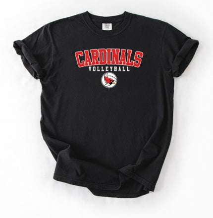 CARDS (Adults) | Cardinals Volleyball Ball Logo