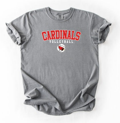 CARDS (Adults) | Cardinals Volleyball Ball Logo