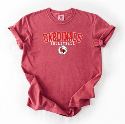 CARDS (Adults) | Cardinals Volleyball Ball Logo
