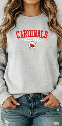 CARDS (Adults) | Cardinals Volleyball Ball Logo