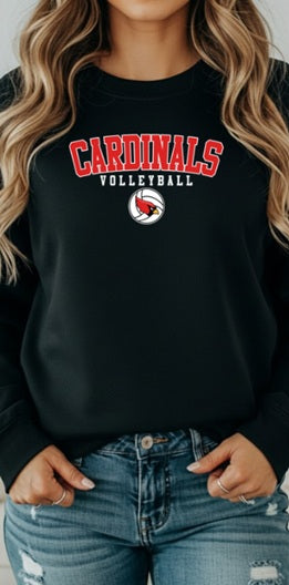 CARDS (Adults) | Cardinals Volleyball Ball Logo