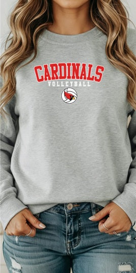 CARDS (Kiddos) | Cardinals Volleyball Ball Logo