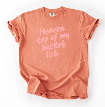 JESUS (Adults) | Heaven Bucket List - Pink