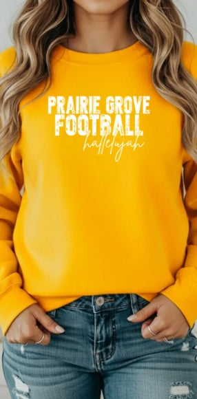 TIGERS (Adults) | PG Football Hallelujah