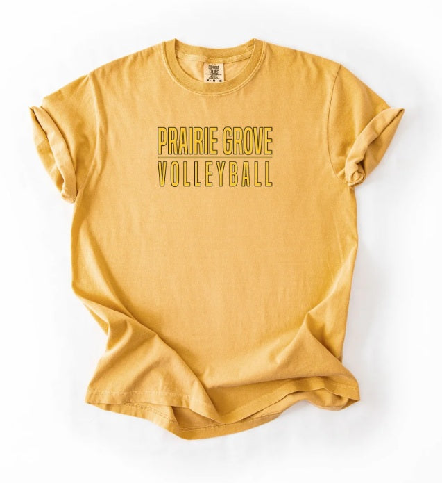 TIGERS (Adults) | PG Volleyball Line