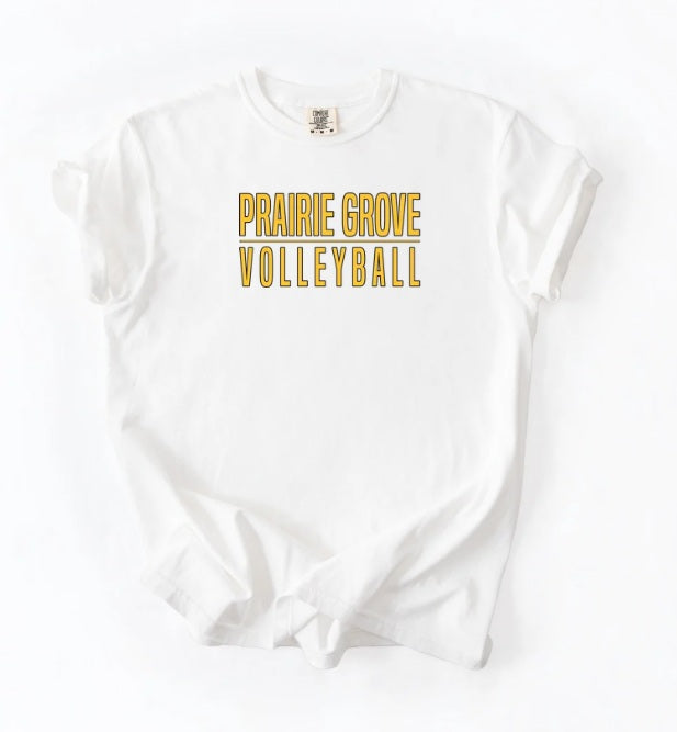 TIGERS (Adults) | PG Volleyball Line