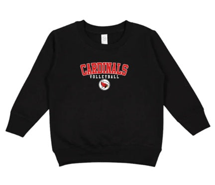 CARDS (Kiddos) | Cardinals Volleyball Ball Logo