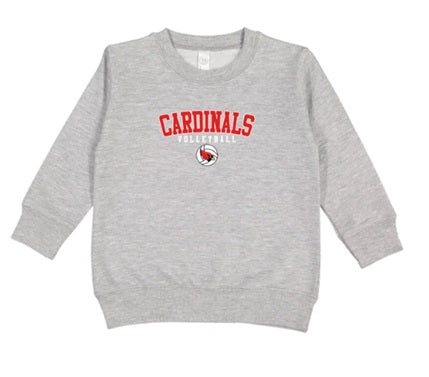 CARDS (Kiddos) | Cardinals Volleyball Ball Logo