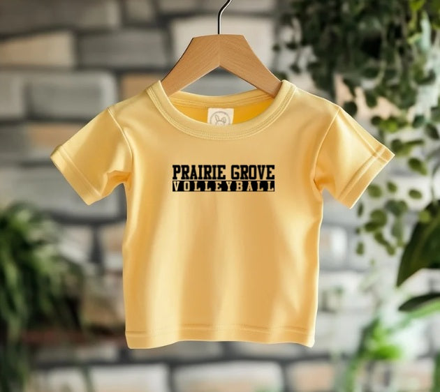 TIGERS (Kiddos) | PG Volleyball Box