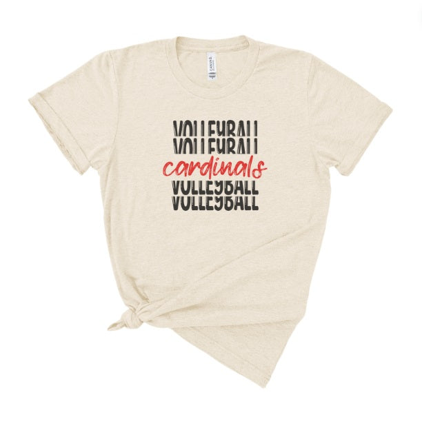 CARDS (YOUTH) *PRE-ORDER* Volleyball Stacked