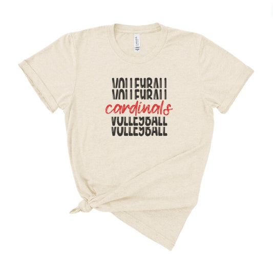 CARDS (YOUTH) *PRE-ORDER* Volleyball Stacked