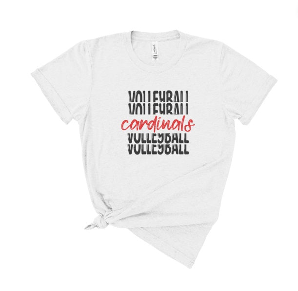 CARDS (YOUTH) *PRE-ORDER* Volleyball Stacked