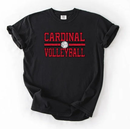 CARDS (Adults) | Vintage Cardinals Volleyball