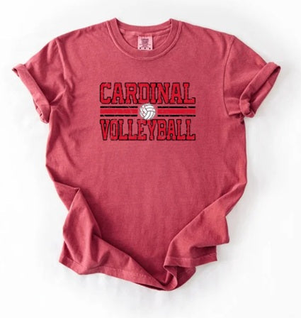 CARDS (Adults) | Vintage Cardinals Volleyball