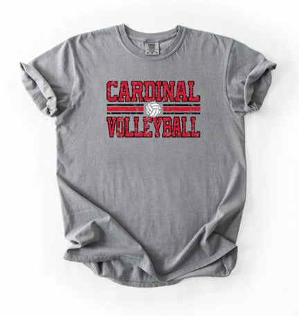 CARDS (Kiddos) | Vintage Cardinals Volleyball