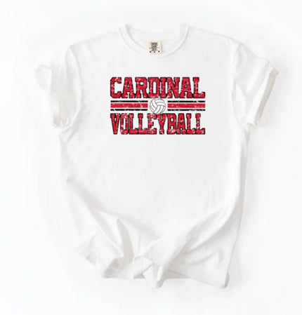 CARDS (Kiddos) | Vintage Cardinals Volleyball