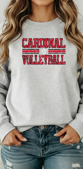CARDS (Adults) | Vintage Cardinals Volleyball