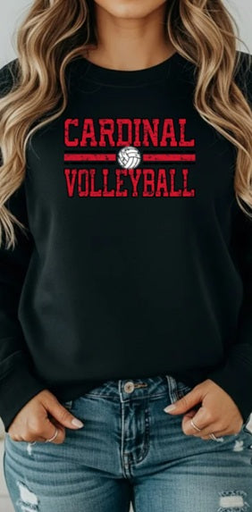 CARDS (Kiddos) | Vintage Cardinals Volleyball