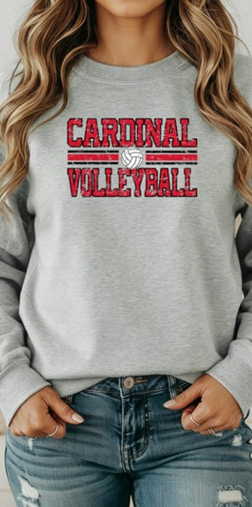 CARDS (Adults) | Vintage Cardinals Volleyball