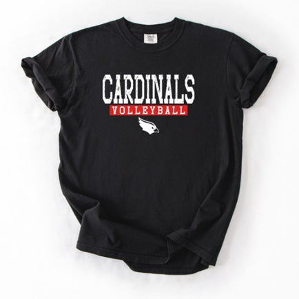 CARDS (Adults) | Cardinals Volleyball Solid Logo