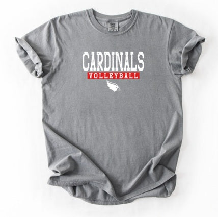 CARDS (Kiddos) | Cardinals Volleyball Solid Logo