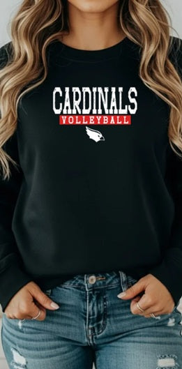 CARDS (Kiddos) | Cardinals Volleyball Solid Logo