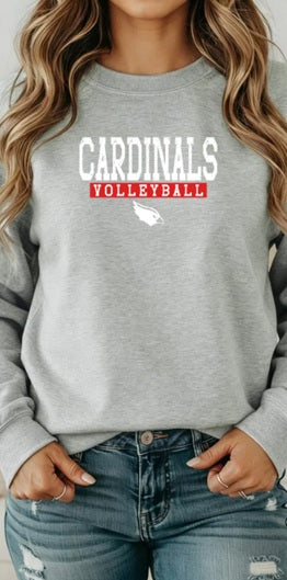 CARDS (Kiddos) | Cardinals Volleyball Solid Logo