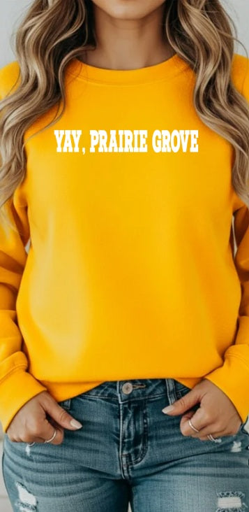 TIGERS (Adults) | Yay Prairie Grove